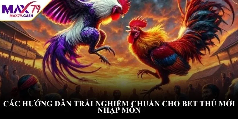 Các hướng dẫn trải nghiệm chuẩn cho bet thủ mới nhập môn