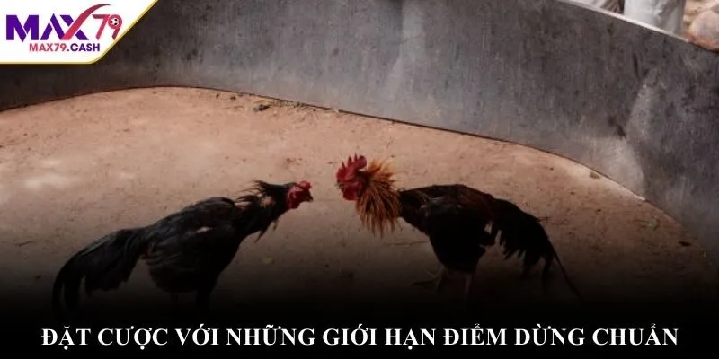 Đặt cược với những giới hạn điểm dừng chuẩn