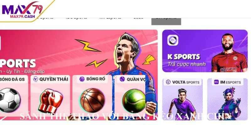 Sảnh thể thao với bảng kèo xanh chín