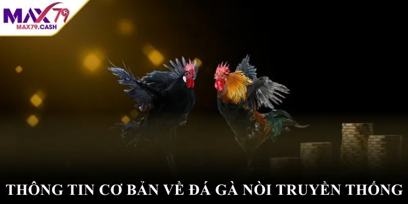 Thông tin cơ bản về đá gà nòi truyền thống