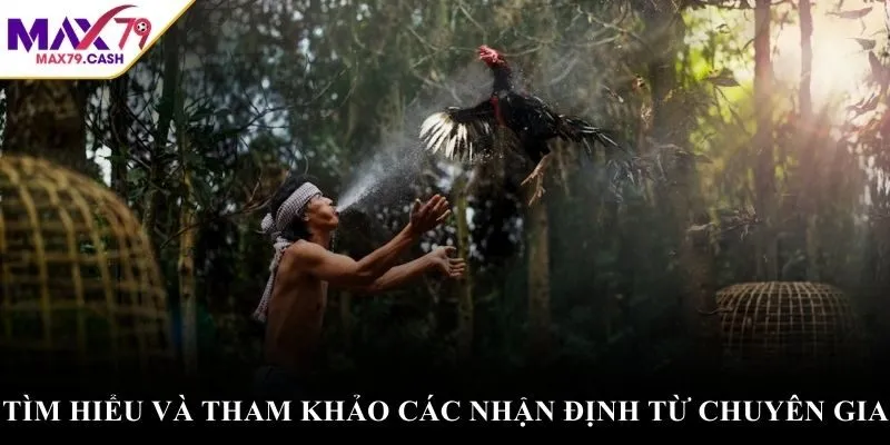 Tìm hiểu và tham khảo các nhận định từ chuyên gia